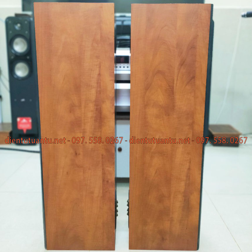 Công ty điện tử Tuấn Tú tự tin có thể đáp ứng rất đa dạng các yêu cầu quý khách hàng đề ra khi nhận được liên hệ về các thiết bị như loa, amply, dàn karaoke gia đình, đầu đĩa, ti vi,... đã qua sử dụng, hàng đảm bảo yêu cầu về chất lượng, gần như mới, cung cấp đến bạn nhanh và mức giá bán rẻ nhất.