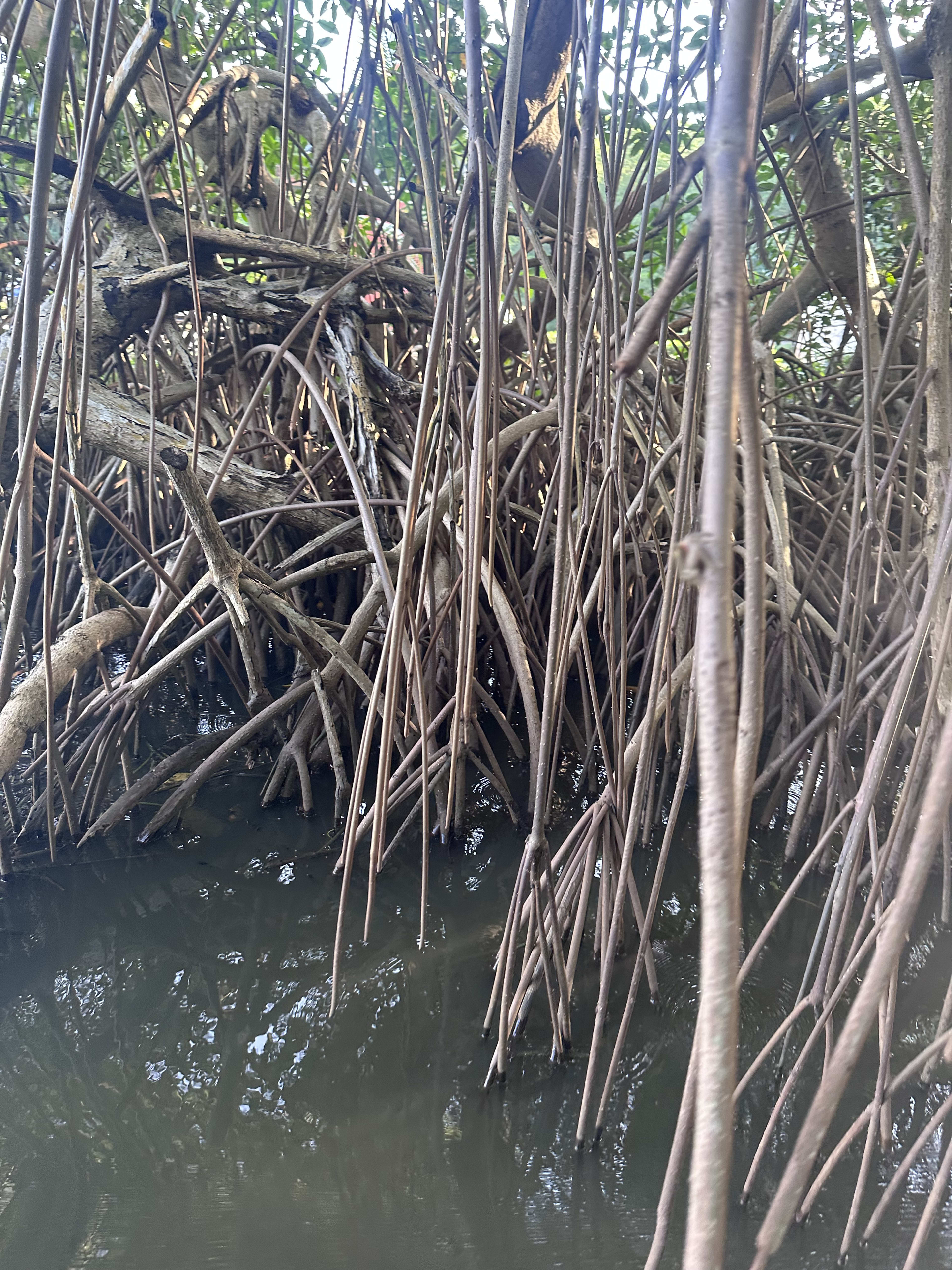 Gallery 4