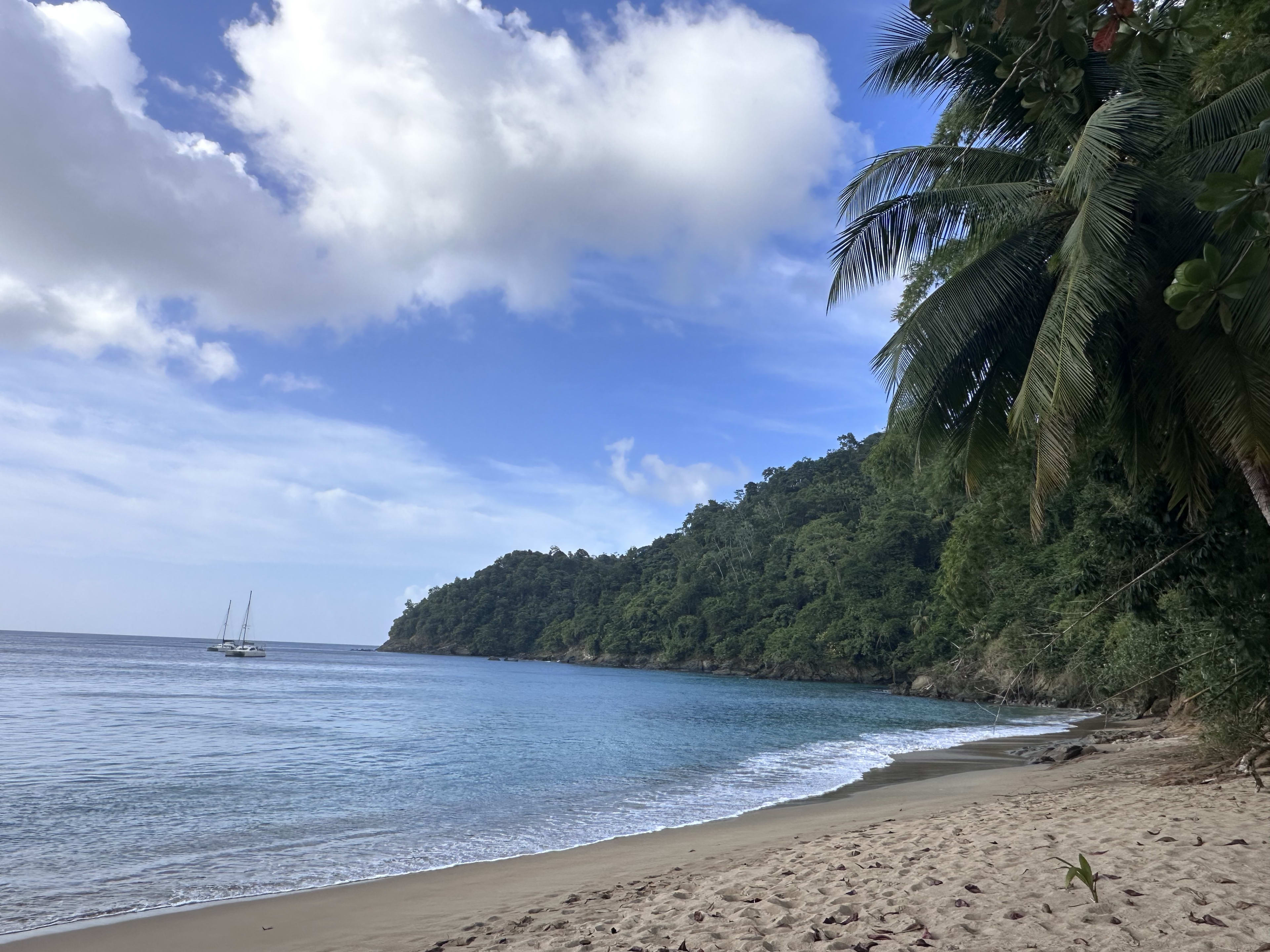 📍Tobago: Island Paradise Awaits🇹🇹