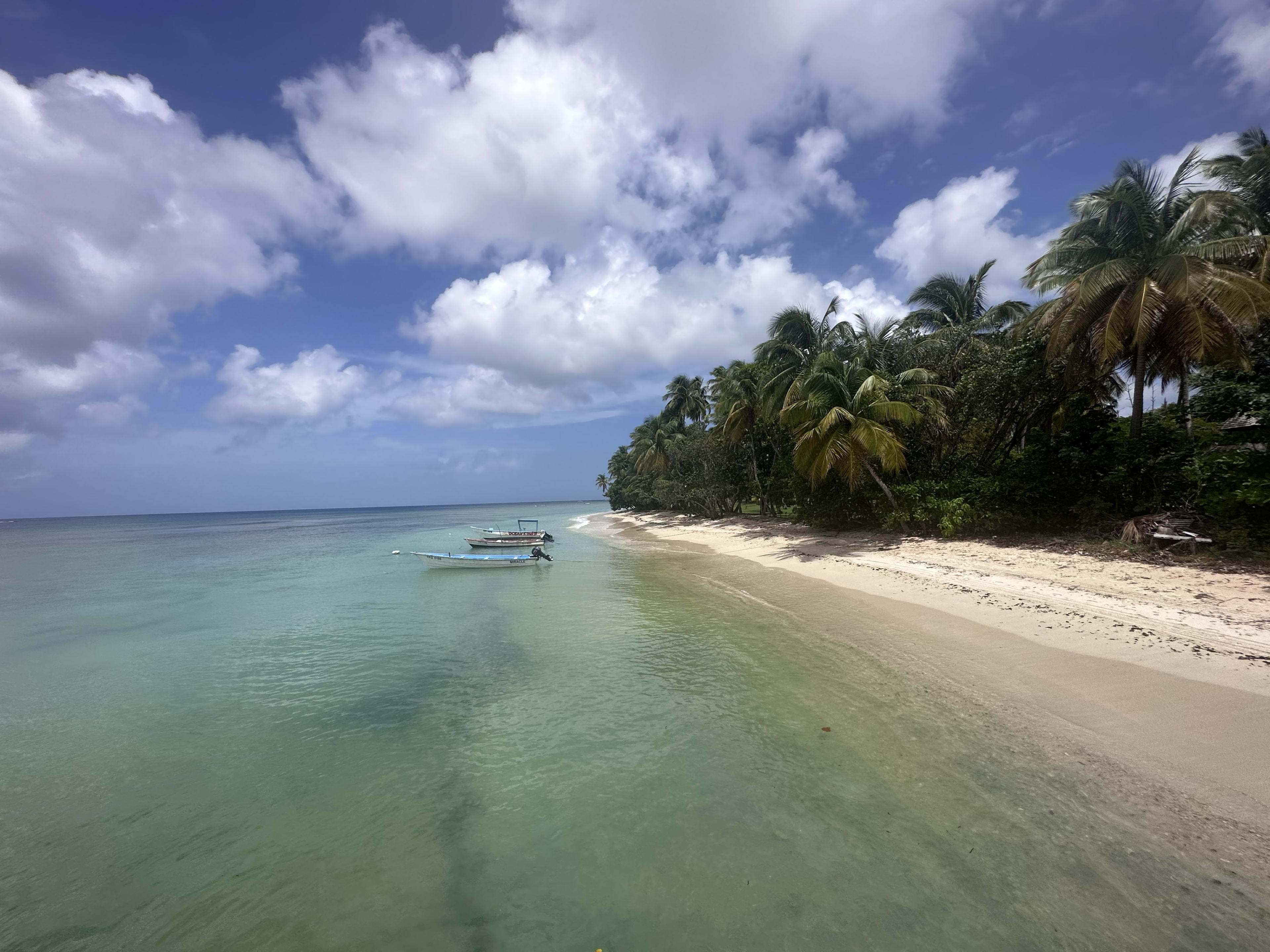 📍Unveiling Tobago's Treasures🇹🇹