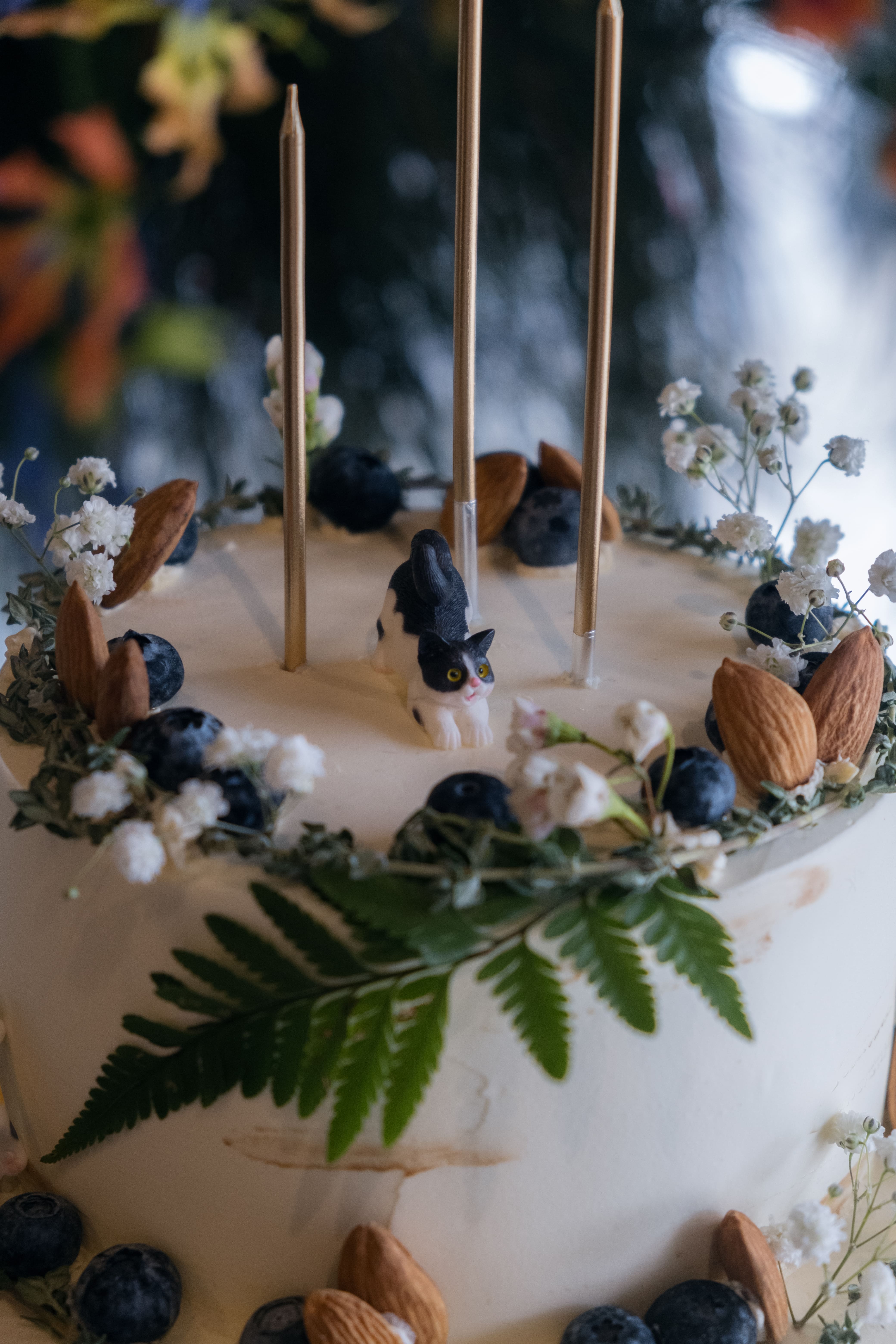 Close-up of cake decorated with blueberries, fern, baby breathe, nuts and cat topper.