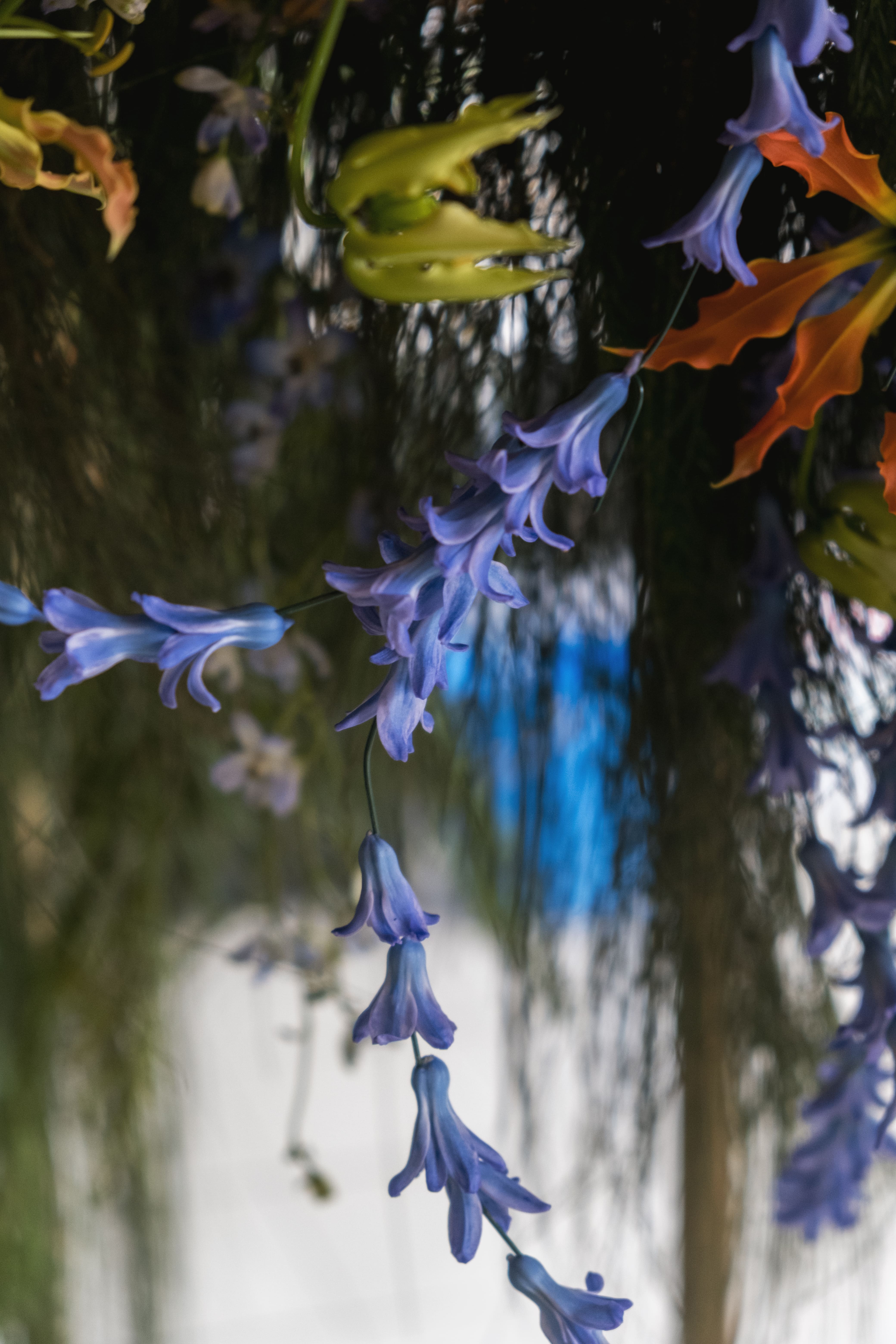 Close-up texture of a blue delphiniums arrangement.