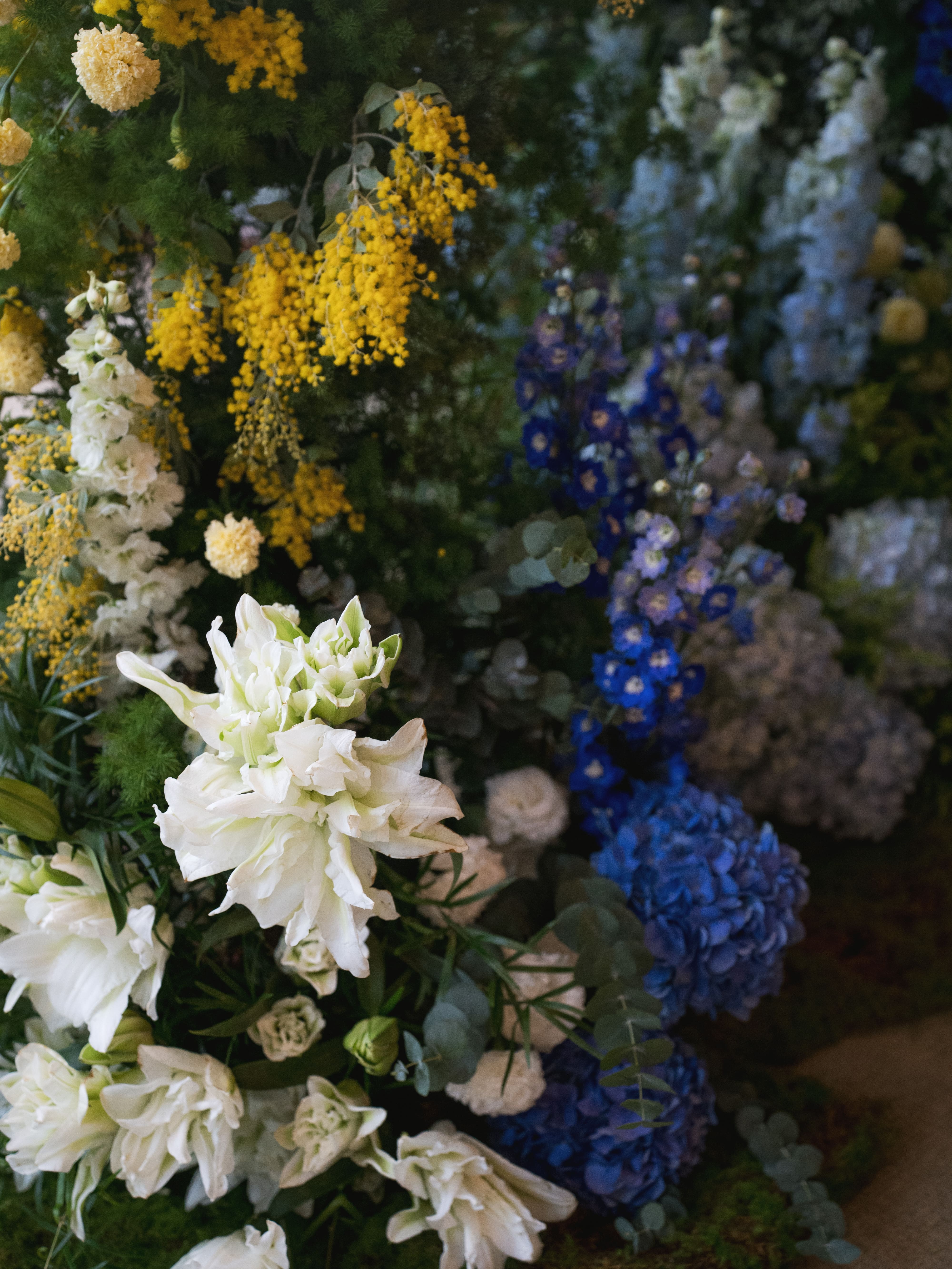 Close-up of white lilies and yellow accents with blue hydrangeas and delphiniums