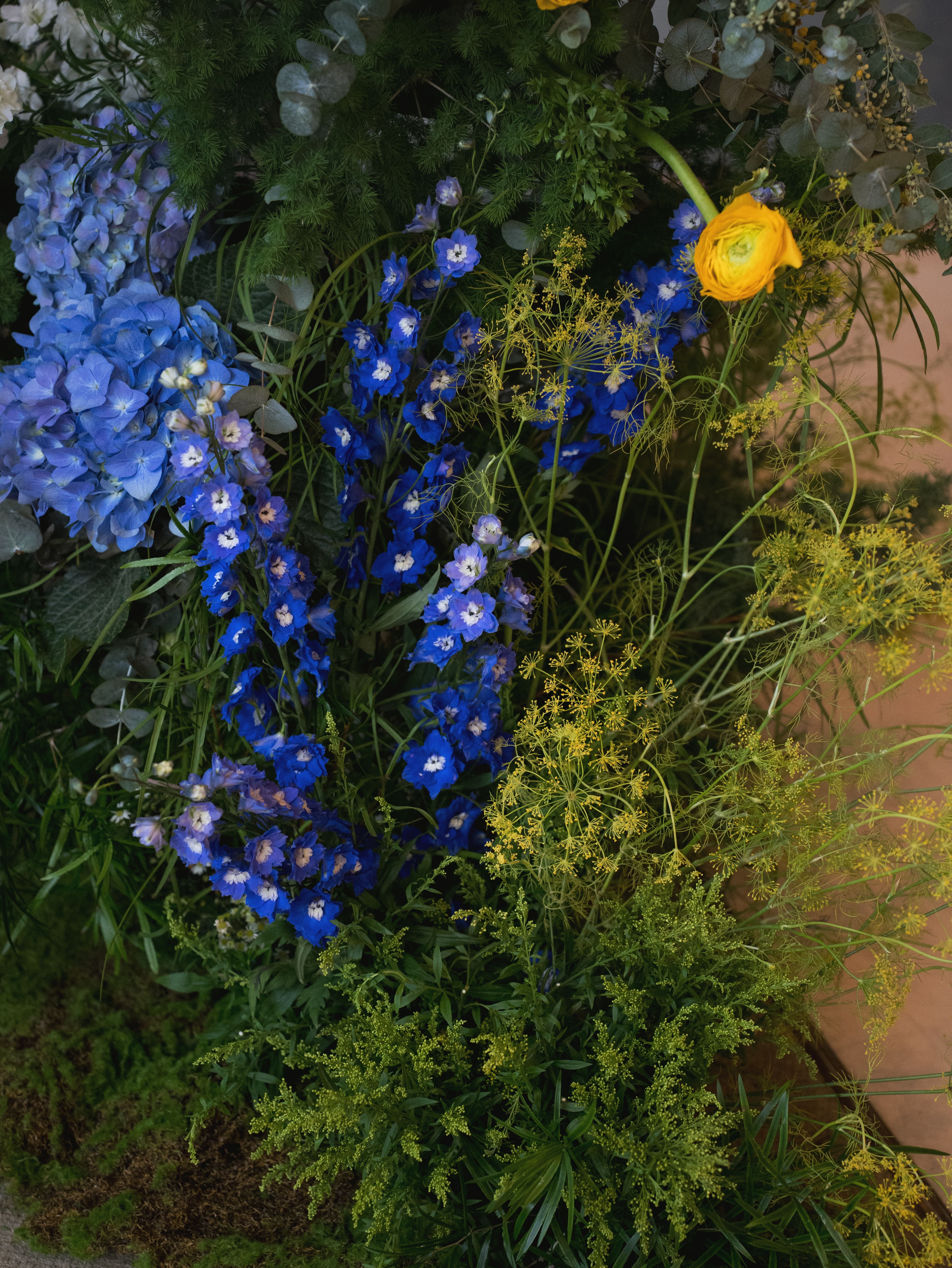 Close-up of vibrant blue delphinium with greenery