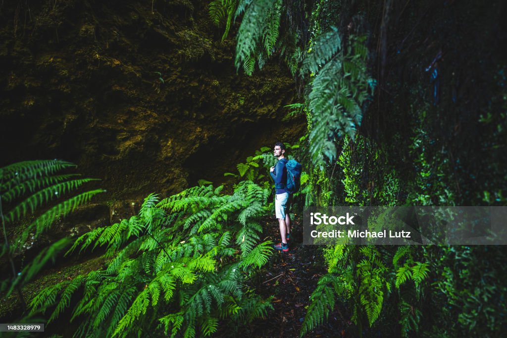 Madeira Levada Walk – 25 Fontes