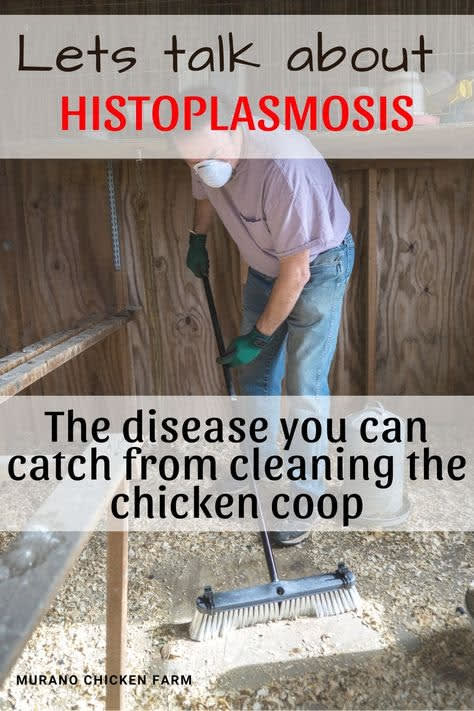 Understanding Histoplasmosis in Poultry Farming: Risks, Symptoms, and Coop Safety