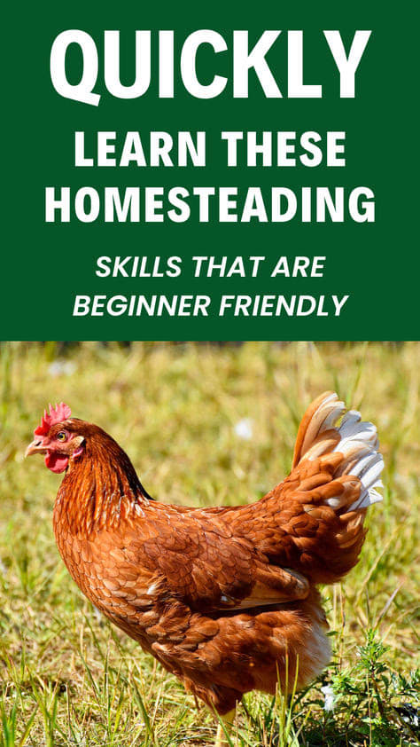 Beginner Homesteading Skills to Learn First