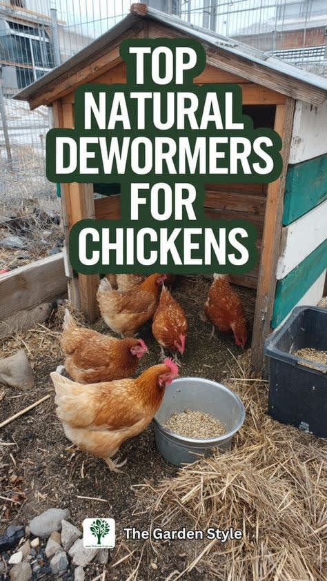 Natural Dewormers for Chickens