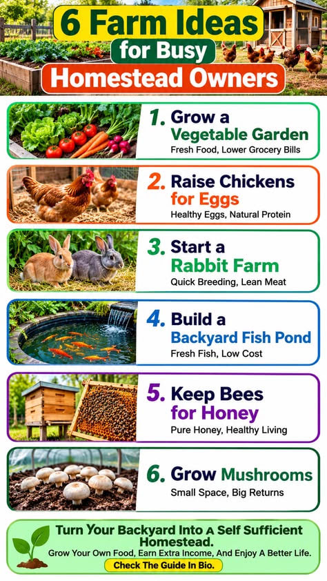 6 Smart Farm Ideas for a Self-Sufficient Backyard