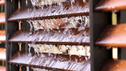 Weather Resistant Shutters Animation