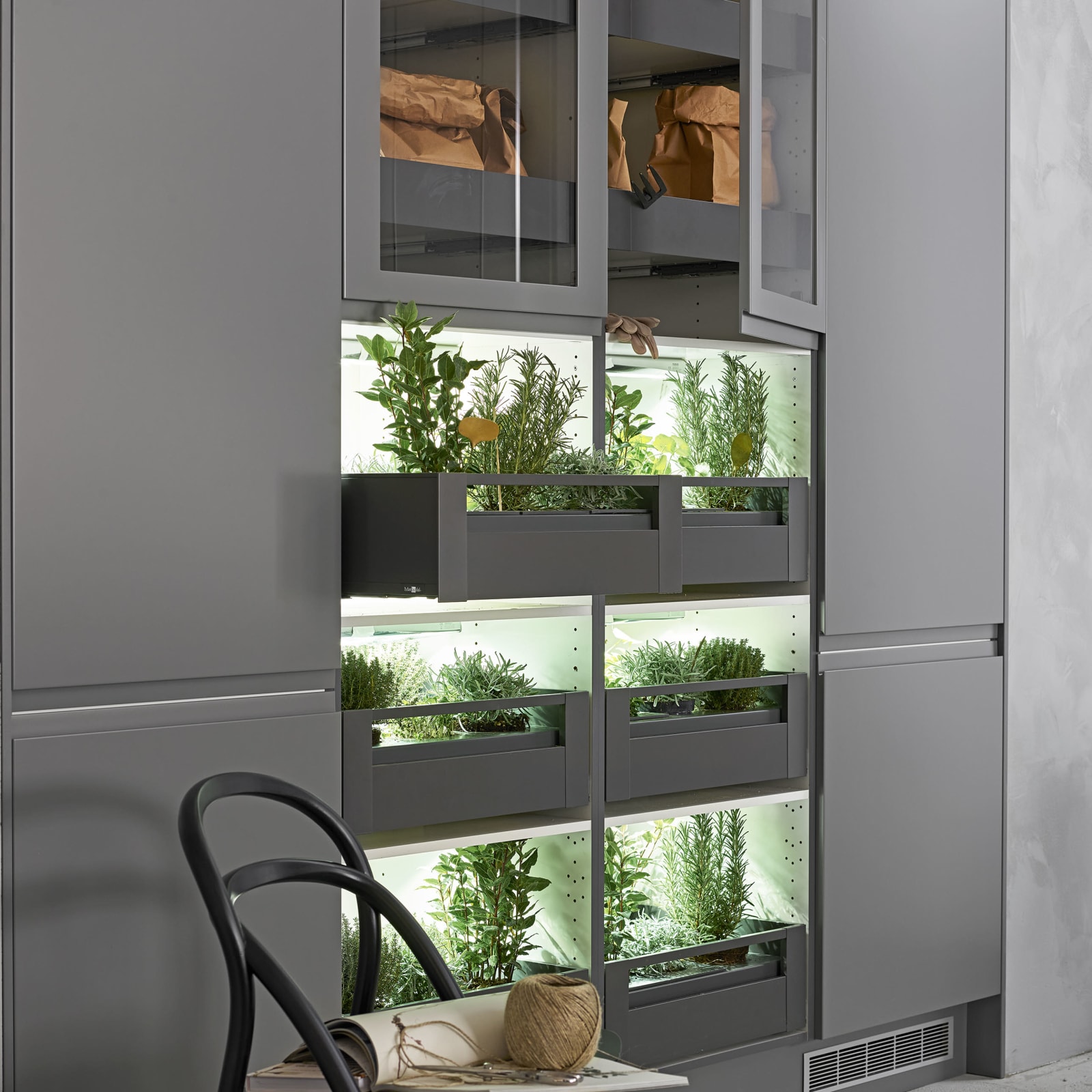 Odlingsinrede för växtlåda