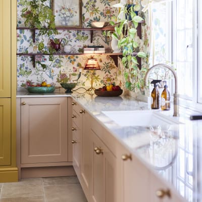 View of open shelving, with colourful decorations and plants.