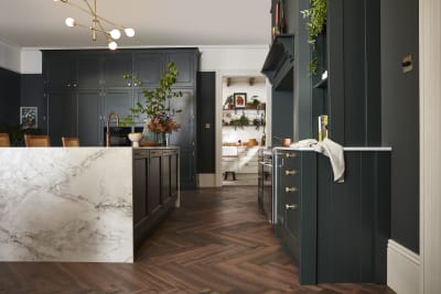 Ludlow, a traditional Shaker-style kitchen range featuring panelled doors with visible woodgrain and beading detail, in the shade Arboretum Green.