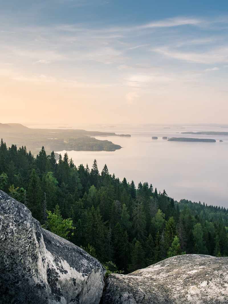 Metsä ja järvi