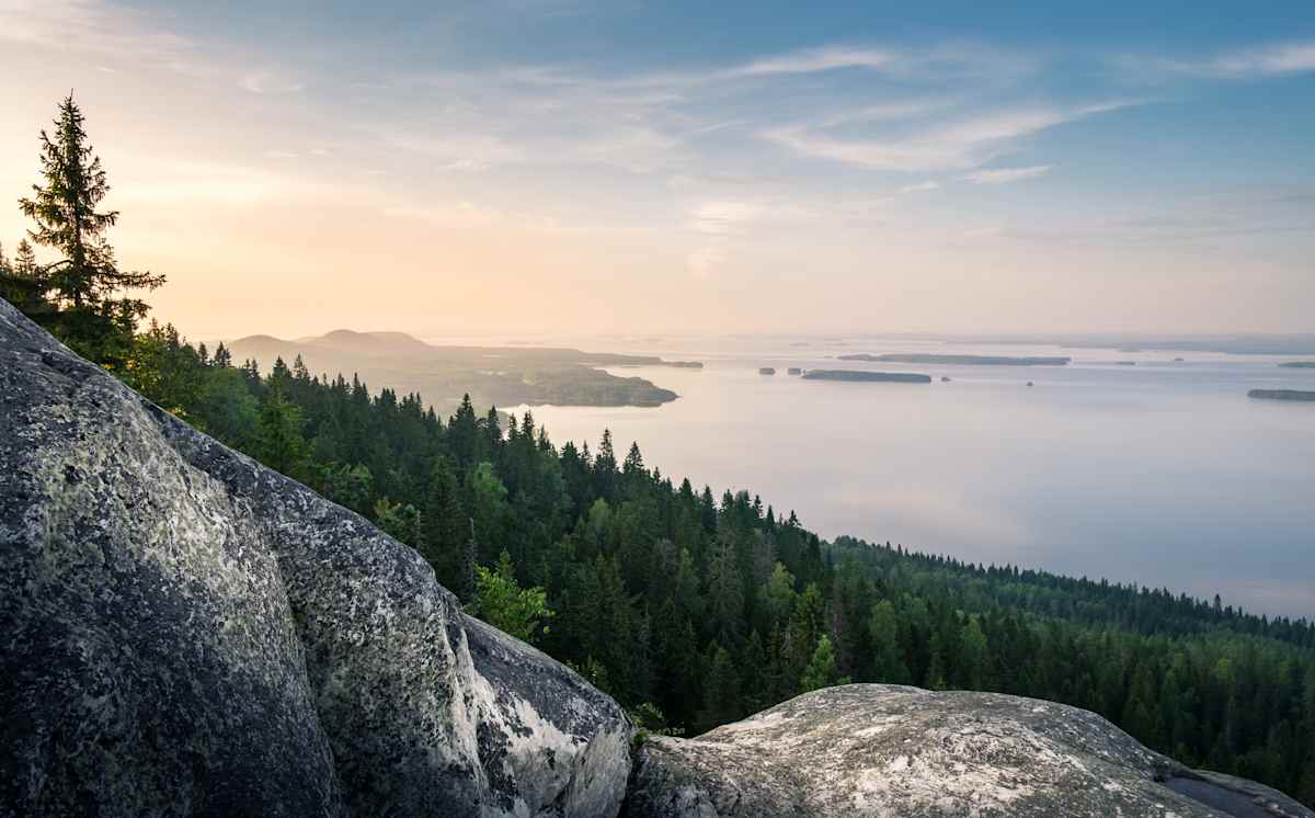 Skog