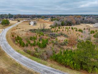 Cherry Bark Courtland, MS 38620