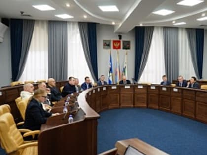 Инженерные сети и укрепление береговой линии Ушаковки рассмотрела комиссия Думы Иркутска по ЖКХ и благоустройству