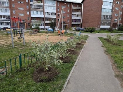 Ремонт дорог и озеленение в избирательных округах