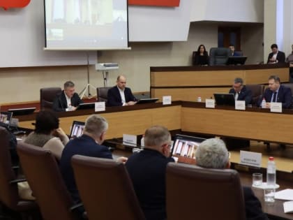 Льготный энерготариф будет действовать для проживающих в СНТ Приангарья многодетных семей