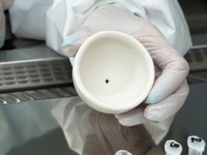 Новые разработки в борьбе с клещевым энцефалитом