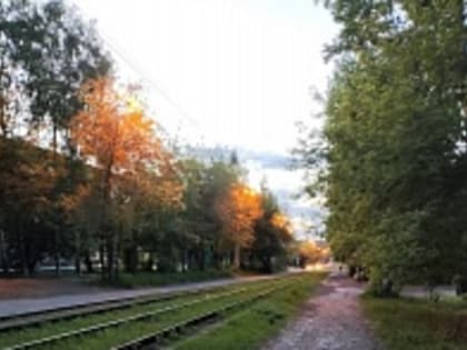 Выборы в Иркутске: готовимся к голосованию