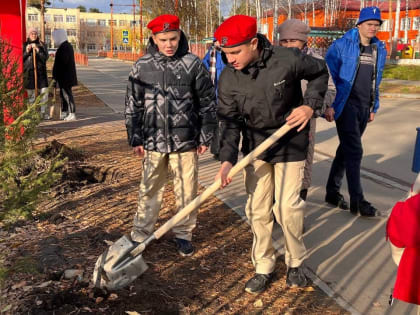 Начало благоустройства парка «Патриот» в городе