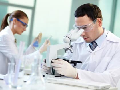 Исследование вируса Марбург в Новосибирске