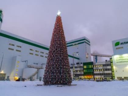 Итоги 2024 года для Усть-Илимского ЦКК