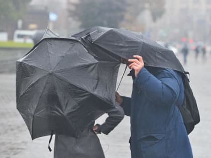 Солнечная погода в Владивостоке в начале недели