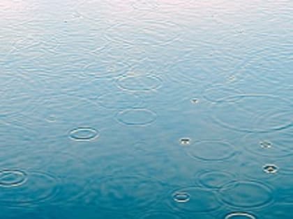 Россиянам рассказали, чем опасна прогулка под дождем