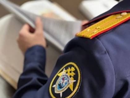 Организованная сеть незаконной миграции: в Иркутской области вынесен жёсткий приговор взяточникам