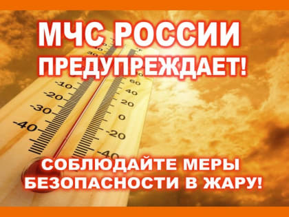 Сильная жара с максимальными температурами воздуха +31,+36В°, высокие и чрезвычайные классы пожарной опасности в лесах прогнозируются в регионе 30 июня