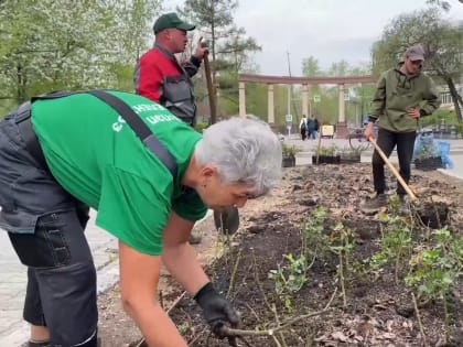 Необычный сорт роз высадили возле драматического театра в Иркутске