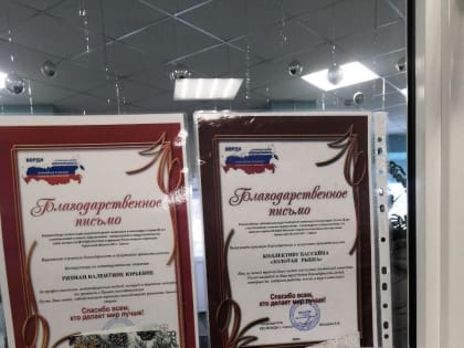 Cоревнования по плаванию 