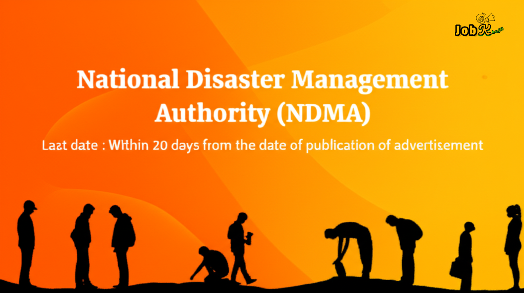 Lead Consultant (Coordinator) - National Disaster Management Authority