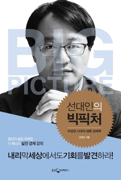 선대인의 빅픽처 표지
