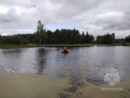 Мужчина утонул в пруду в Уренском районе