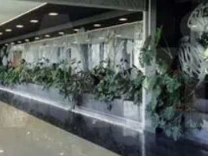 153 млн рублей стоит самая дорогая квартира в Нижнем Новгороде