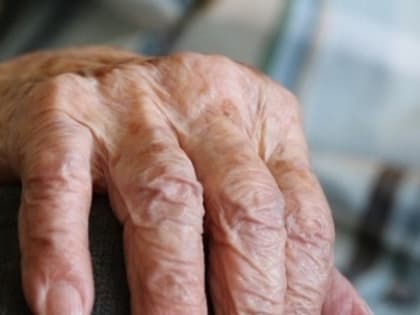 Ученые ННГУ тестируют 1000 веществ, замедляющих старение