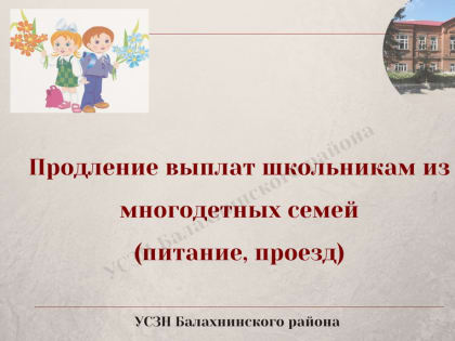 Продление выплат на питание и проезд школьникам из многодетных семей