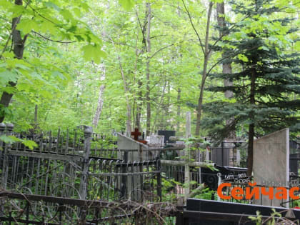 311 неопознанных трупов похоронили в Нижнем Новгороде в 2024 году