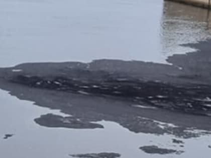 Нижегородская транспортная прокуратура проводит проверку из-за загрязнения Волги мазутом