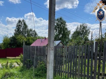 Мастера электросетей признали виновным в гибели ребенка в Нижегородской области