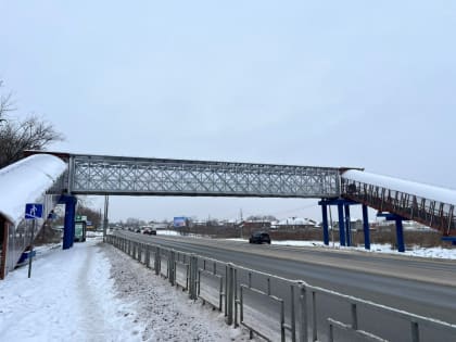 Алюминиевый пешеходный мост открылся в Ждановском под Нижним Новгородом