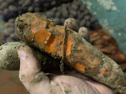 Некачественные продукты и кислородное оборудование поставили в нижегородские больницы