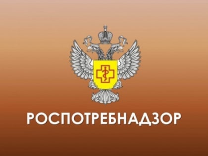 7 пассажиров нижегородского аэропорта привезли инфекцию из-за рубежа в 2022 году