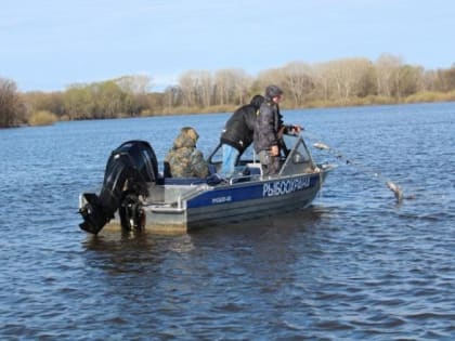 На Чебоксарском водохранилище сняты ограничения на рыбную ловлю