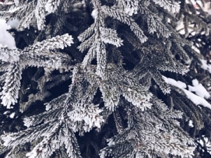 Сильные морозы до -40°С прогнозируются в Нижегородской области 10 января