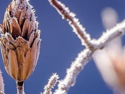 Похолодание до -2 °C придет в Нижний Новгород 5 ноября