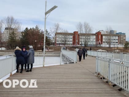 Пенсии работающих пенсионеров вырастут на 7,3% в 2025 году